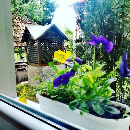 Maslina Rooms Smederevo Ngoại thất bức ảnh