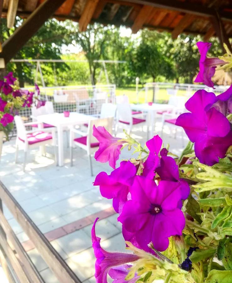 Maslina Rooms Smederevo Ngoại thất bức ảnh