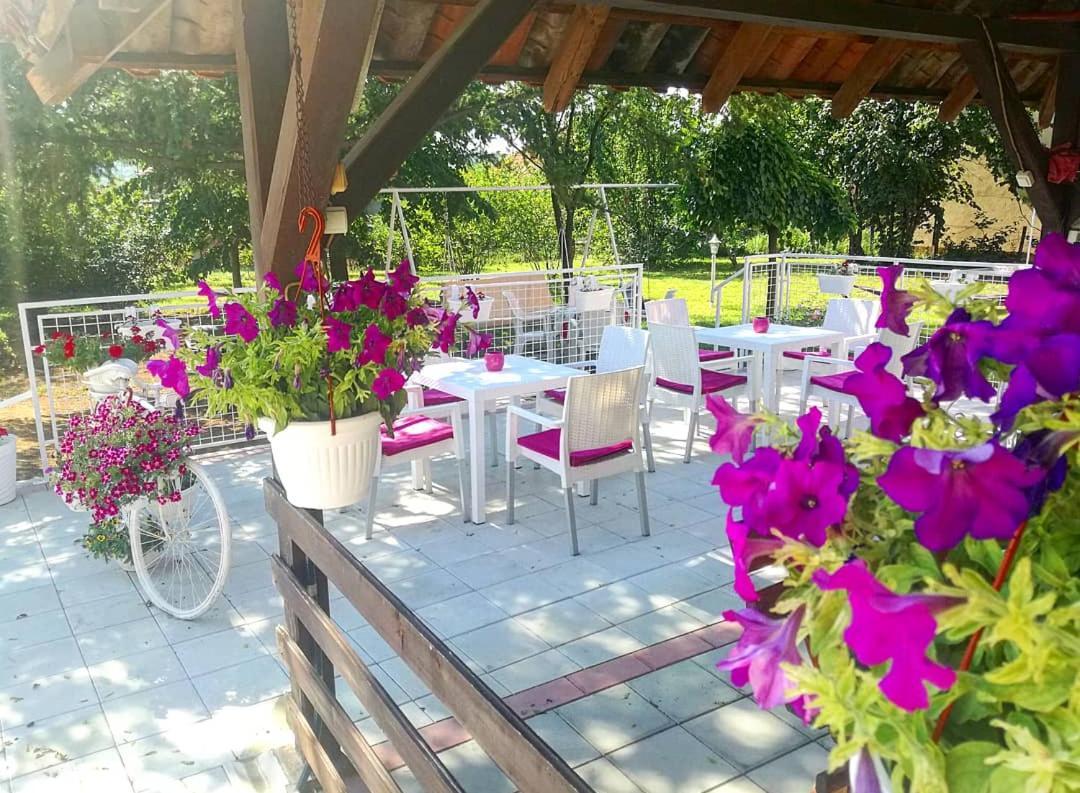 Maslina Rooms Smederevo Ngoại thất bức ảnh