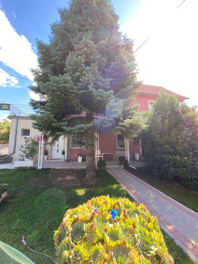 Maslina Rooms Smederevo Ngoại thất bức ảnh