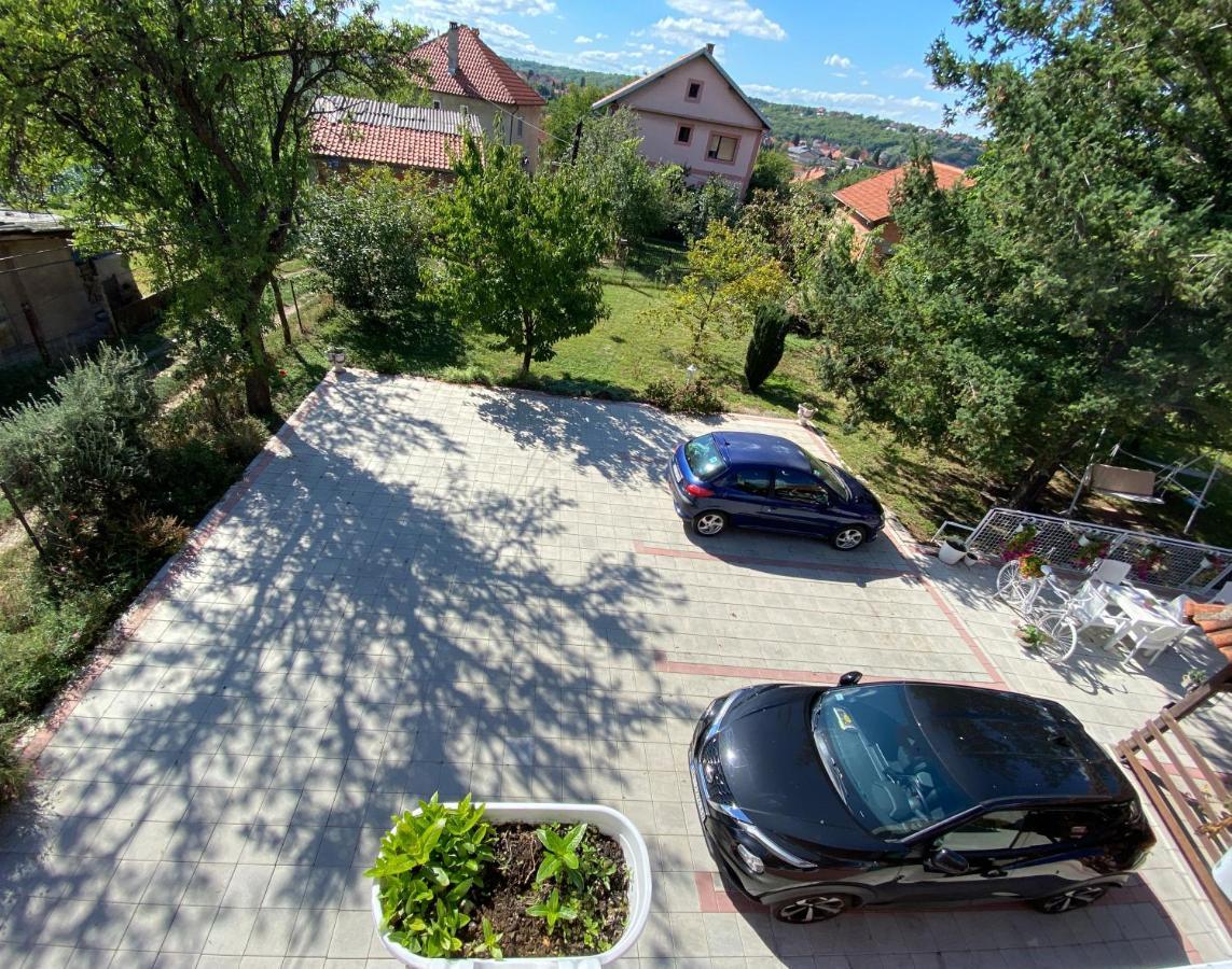 Maslina Rooms Smederevo Ngoại thất bức ảnh