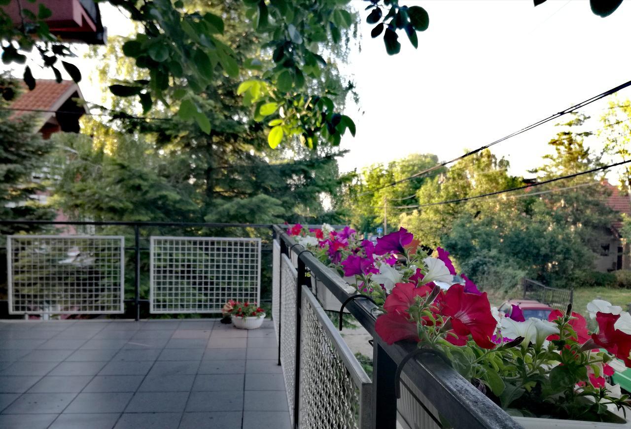 Maslina Rooms Smederevo Ngoại thất bức ảnh