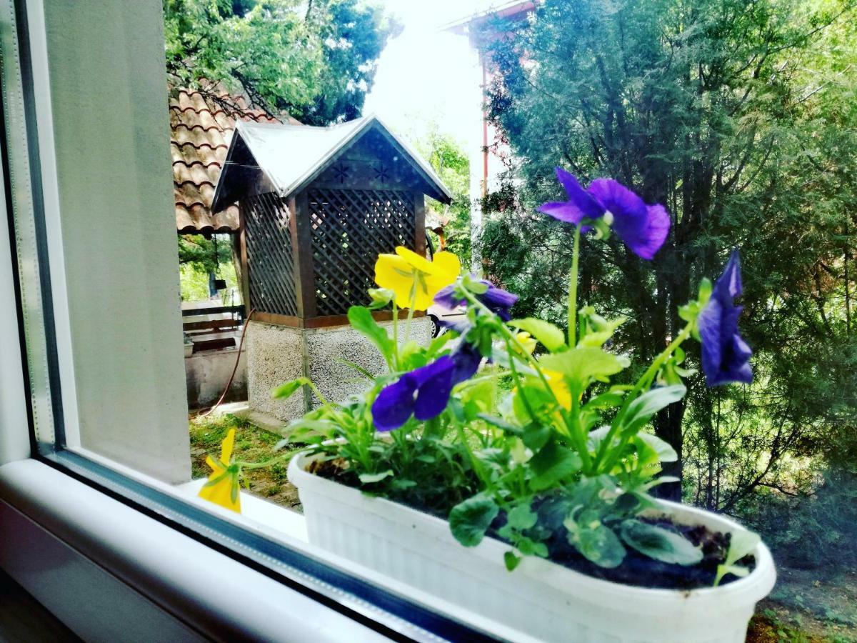 Maslina Rooms Smederevo Ngoại thất bức ảnh